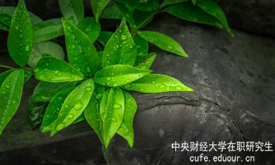 中央財(cái)經(jīng)大學(xué)同等學(xué)力申碩達(dá)到多少分才算通過(guò)考試？