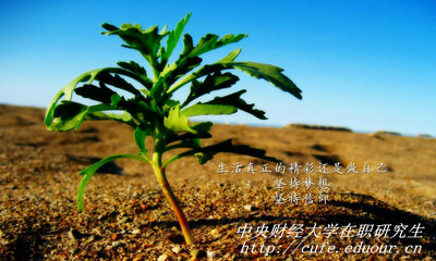 中央財經(jīng)大學在職研究生同等學力申碩有哪些優(yōu)勢？
